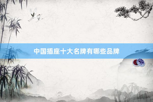 中国插座十大名牌有哪些品牌