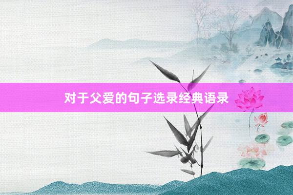 对于父爱的句子选录经典语录
